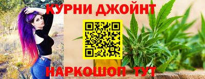 сатива Жуковский