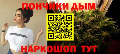сатива Жуковский