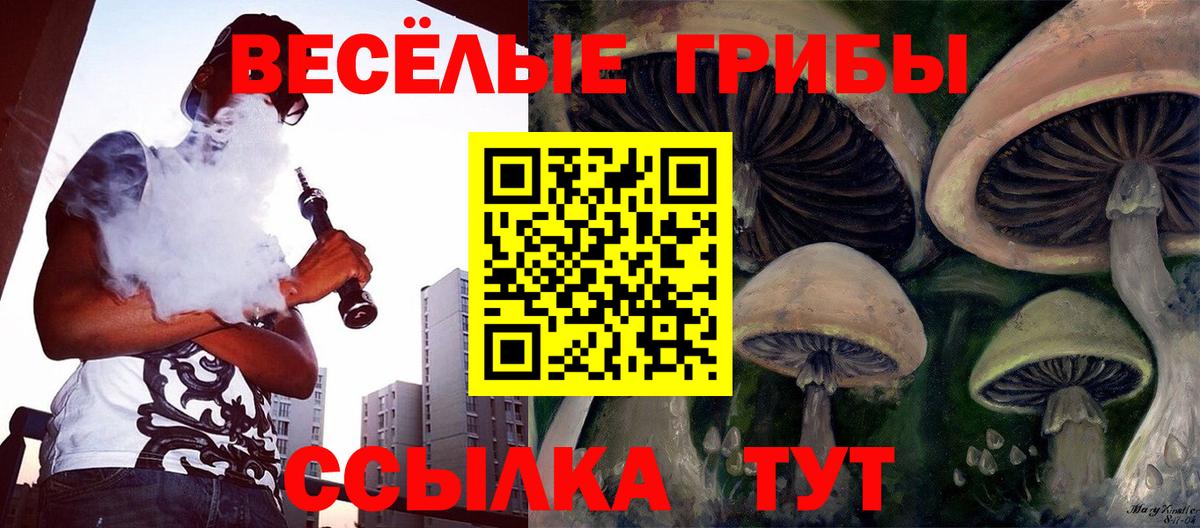Галлюциногенные грибы Magic Shrooms Кыштым