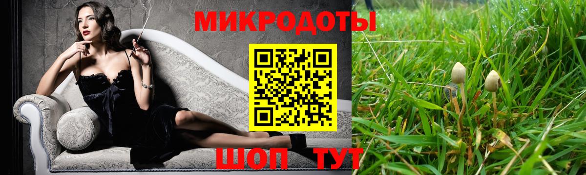Кыштым  Галлюциногенные грибы Magic Shrooms  Вход с VPN 